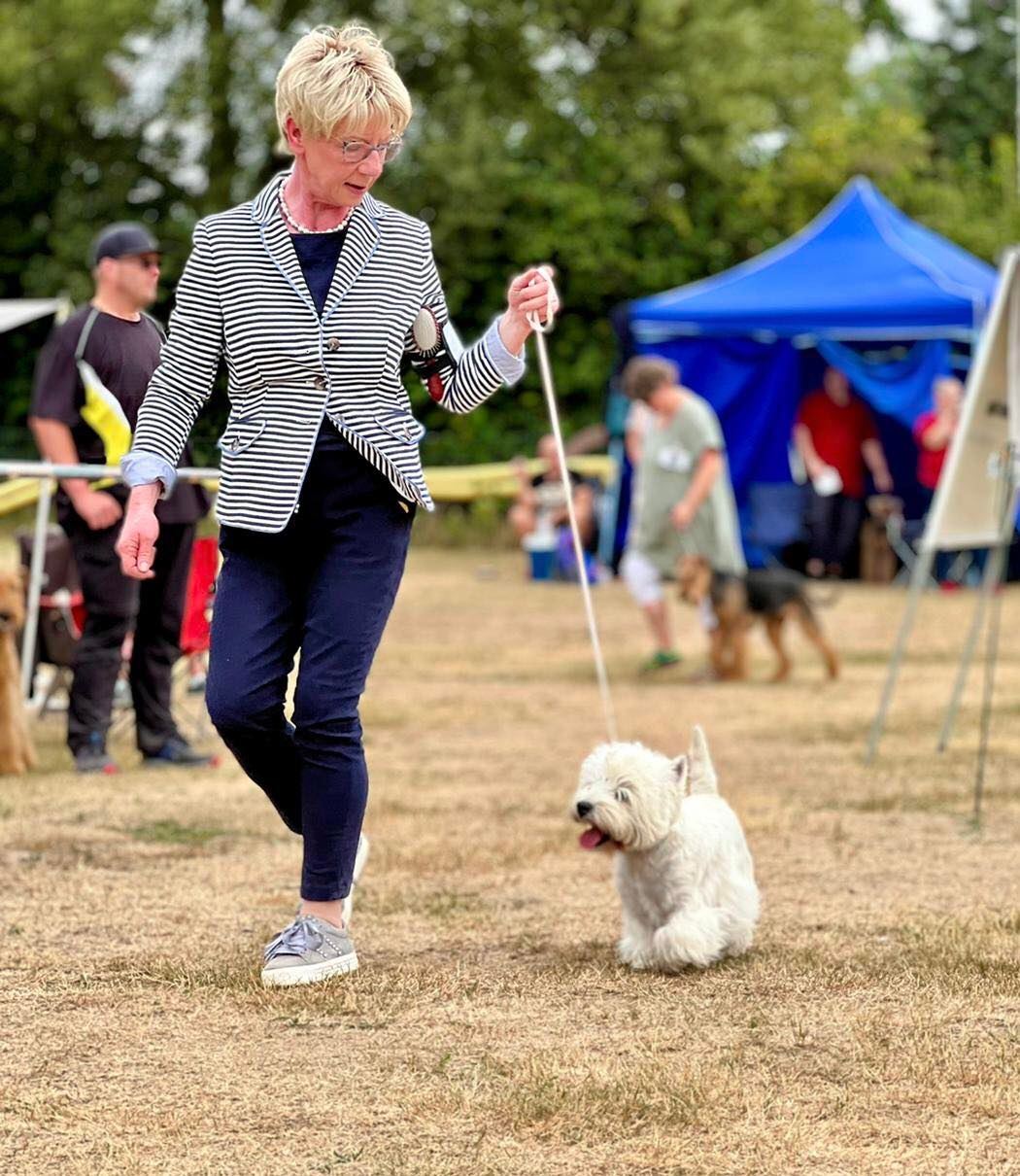 Flying Westies Lucy Diamond