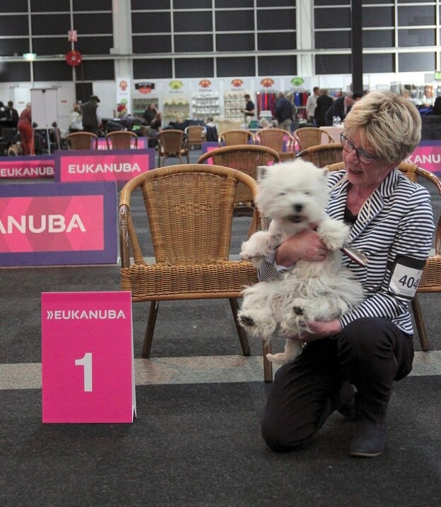 Flying Westies Lucy Diamond