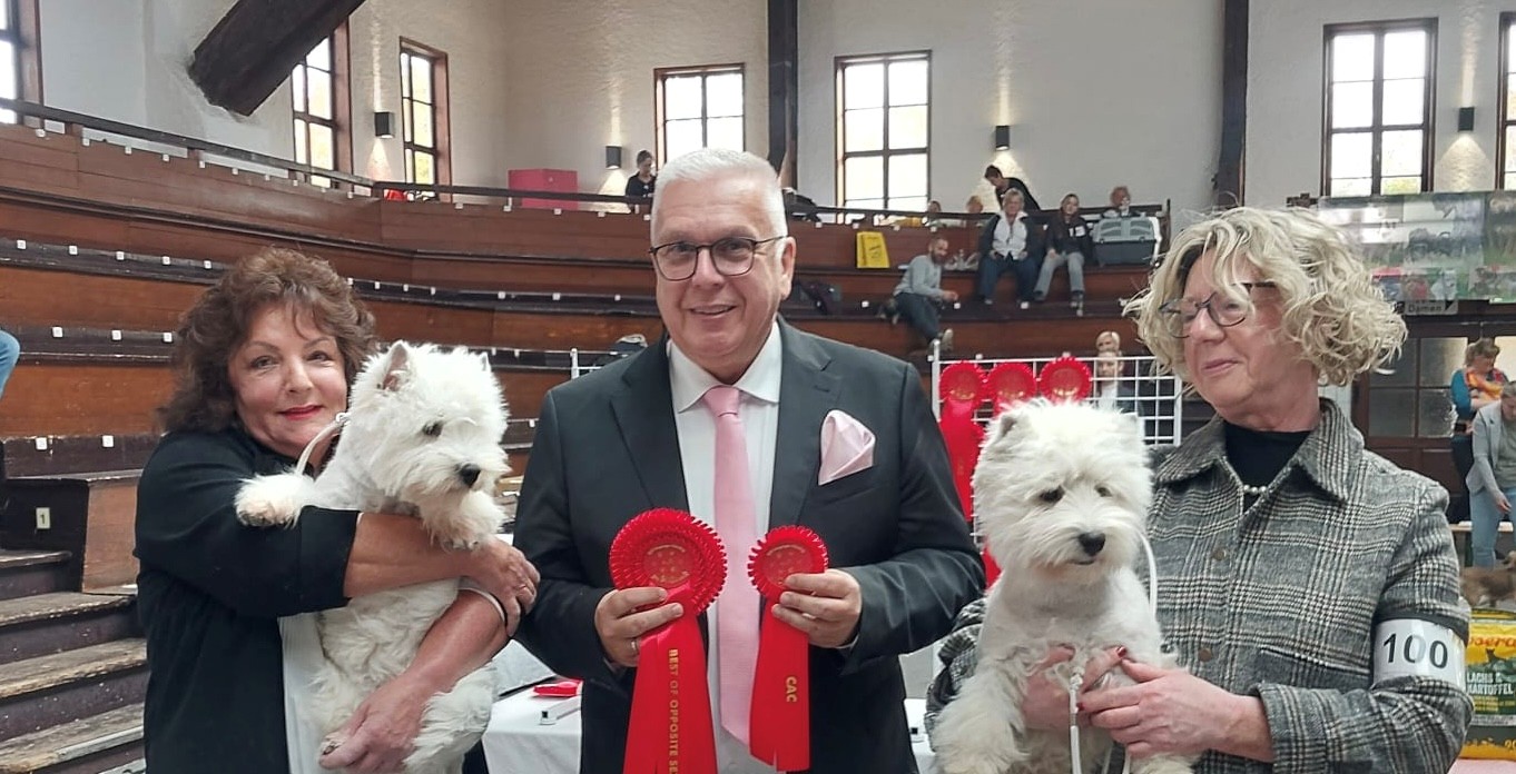 Beste Hündin V1 CAC VDH Flying Westies On Fire