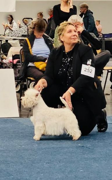 Bettyhill's Simply The Best Davina