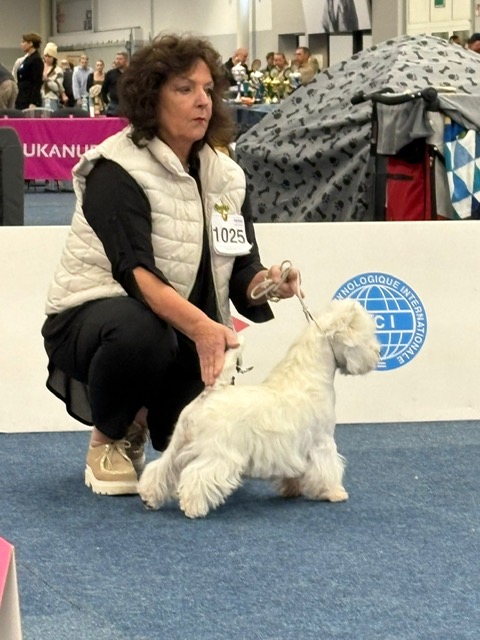 Flying Westies Right Now Of White Castle