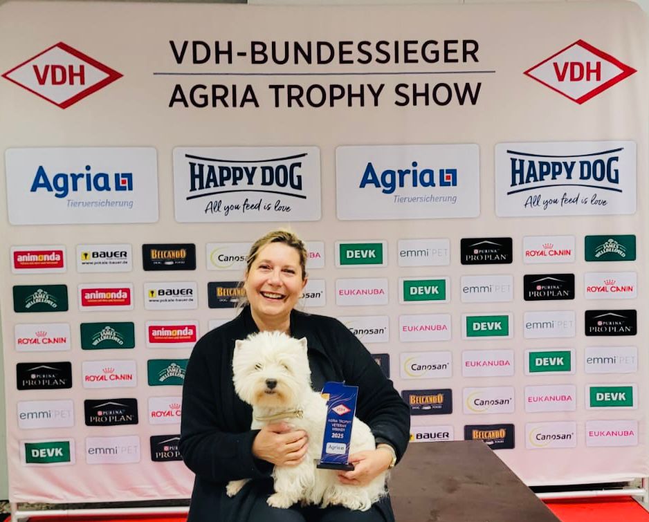 Bettyhill's Simply The Best Davina