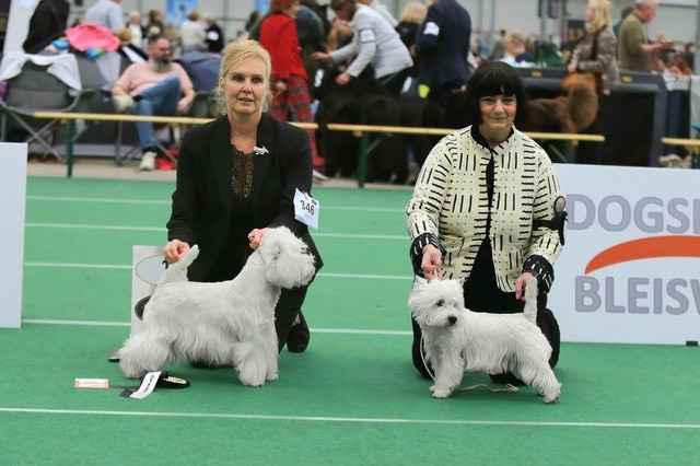  BOB  V1 CACIB CACIB Ivoire Tower Back Up - BOS  V1 JCACIB JCACIB Xin Mei Lin Dolce Con Spirito