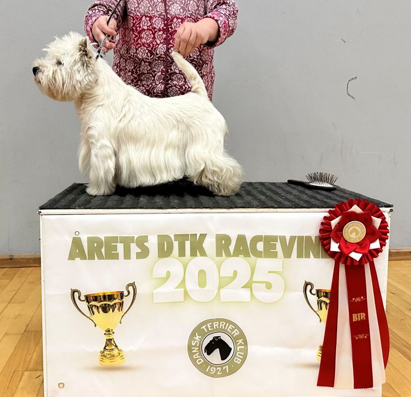 Pepperpot White Flame