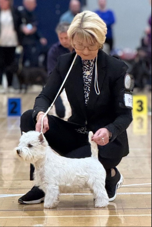 White Snowshoes Melodie