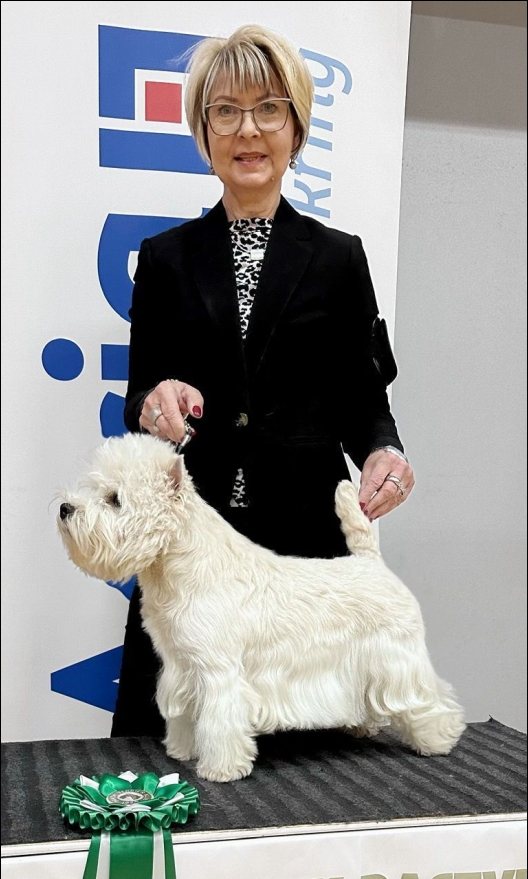 Fire Fly Whisper Dusk