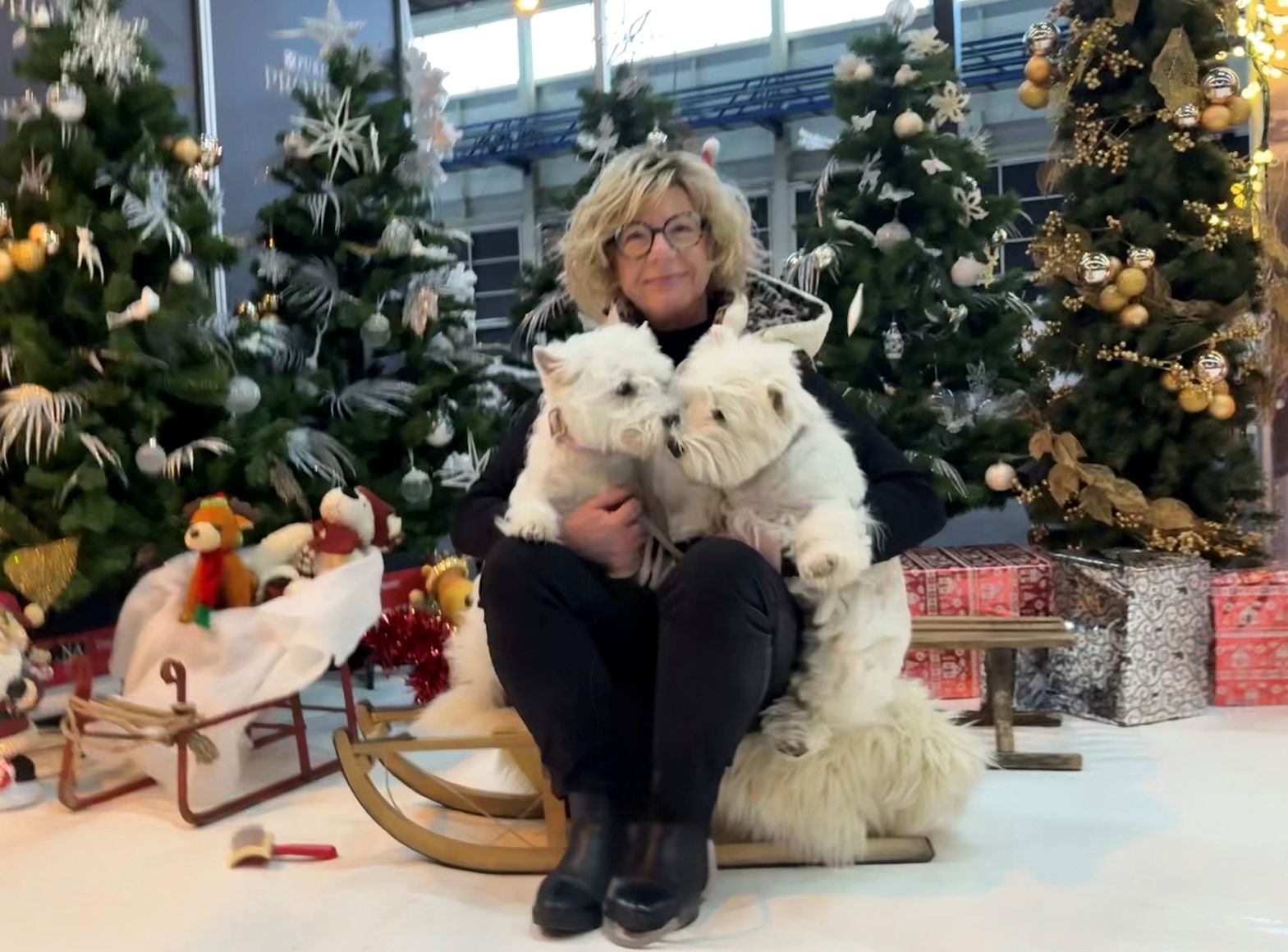 Flying Westies Runaway Bride-Flying Westies On Fire Flying Westies Runaway Bride-Flying Westies On Fire