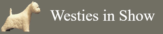Banner Westies in Show