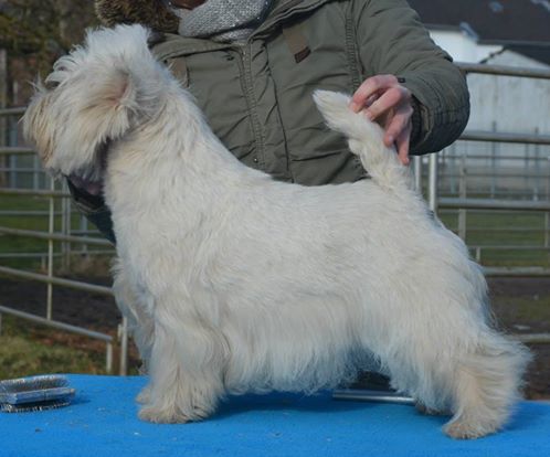 Leonie Of Little White Shadow